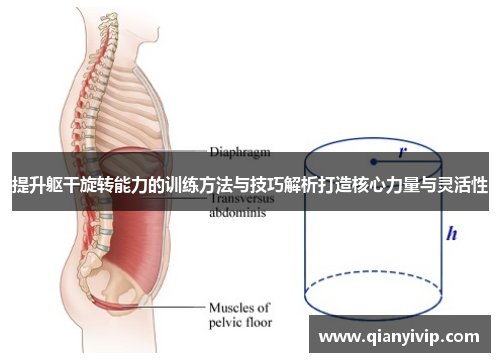 提升躯干旋转能力的训练方法与技巧解析打造核心力量与灵活性