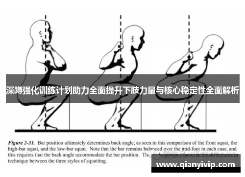 深蹲强化训练计划助力全面提升下肢力量与核心稳定性全面解析