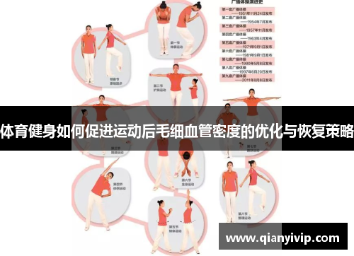 体育健身如何促进运动后毛细血管密度的优化与恢复策略